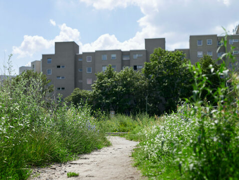 Overgrown path leads to a row of urban apartment buildings under a bright, cloudy sky. Berlin, Germany