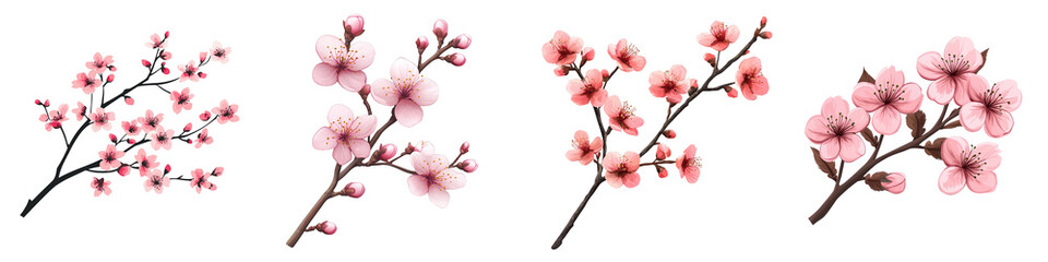 Pink cherry blossom branches floral designs set on transparent background