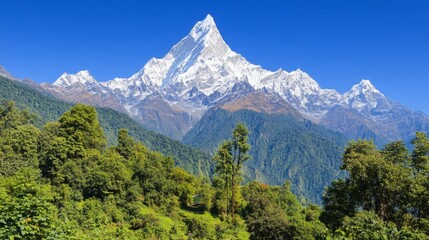 Majestic snow capped mountain peak rises above lush green foothills under a clear blue sky. The vibrant green vegetation contrasts beautifully with the white snow and ice.