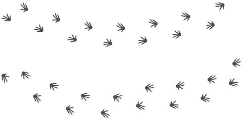 Footprints of iguana, Traces of a Reptilia on white background. Iguana or lizard silhouette animal tracks. Paw Print. Vector illustration. EPS10.