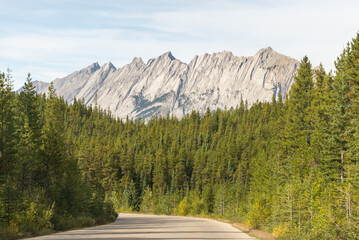 Scenic road through the Canadian Rockies