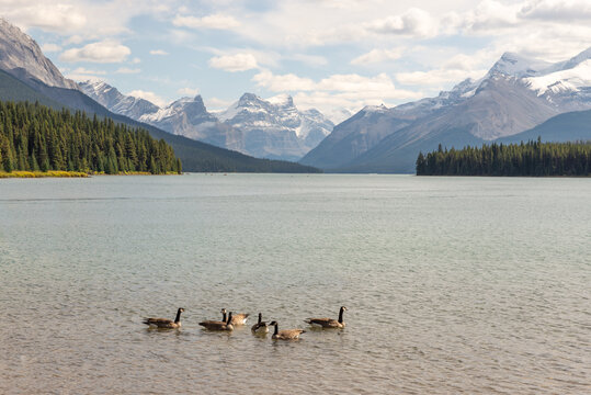 View of Maligne Lake, Canada
