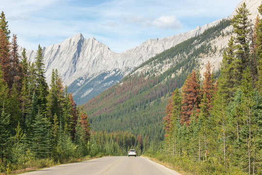 Scenic road through the Canadian Rockies