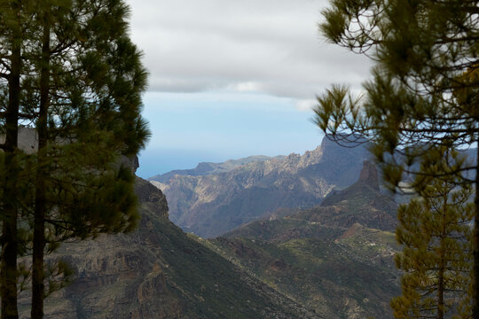 Scenic mountain landscape with pine trees and cloudy sky overlooking distant peaks. Gran Canary, Spain