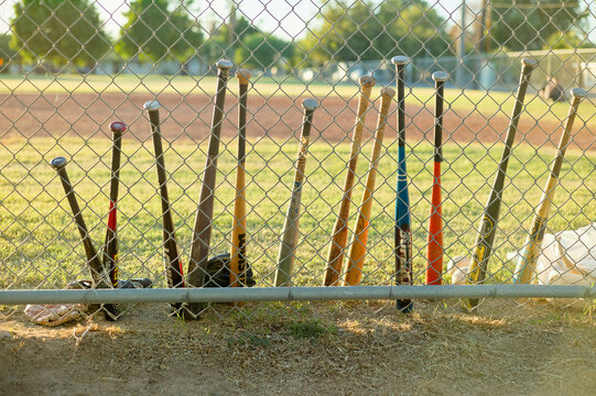 Baseball bats and gloves rest against a chain-link fence by a sunny sports field. California, USA