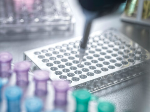 Laboratory pipette placing liquid into a multiwell plate on a metallic surface.
