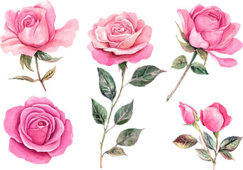 Romantic Watercolor Spring Flowers Clipart
