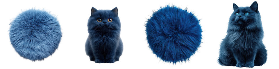 Adorable fluffy blue furry feline pet cat kitten curled up in a cozy spherical textured ball shape with soft plush feather like fur and velvety silken surface