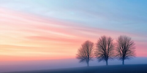 Obraz premium A beautiful sunset with a field of trees in the background. The trees are bare and the sky is a mix of pink and blue