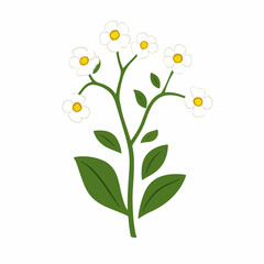Simple flat 2D icon alyssum branch isolated on transparent background, vector, vector, flat design, animation design, simple flat 2D icon, clipart