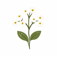 Simple flat 2D icon alyssum flowers branch isolated on transparent background, vector, vector, flat design, animation design, simple flat 2D icon, clipart