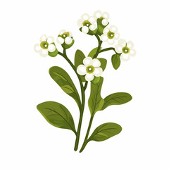 Simple flat 2D icon alyssum flowers branch isolated on transparent background, vector, vector, flat design, animation design, simple flat 2D icon, clipart