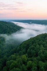 The sky is a beautiful orange color as the sun sets. The trees are lush and green, and the fog is thick and heavy. The scene is peaceful and serene, with the mist adding a sense of mystery