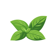 My Simple flat 2D icon basil leaves isolated on transparent background, vector, vector, flat design, animation design, simple flat 2D icon, clipart