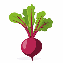 My Simple flat 2D icon red beetroot with green leaf isolated on transparent background, vector, vector, flat design, animation design, simple flat 2D icon, clipart