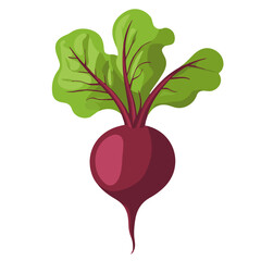 My Simple flat 2D icon red beetroot with green leaf isolated on transparent background, vector, vector, flat design, animation design, simple flat 2D icon, clipart