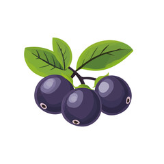 My Simple flat 2D icon bilberry branch isolated on transparent background, vector, vector, flat design, animation design, simple flat 2D icon, clipart