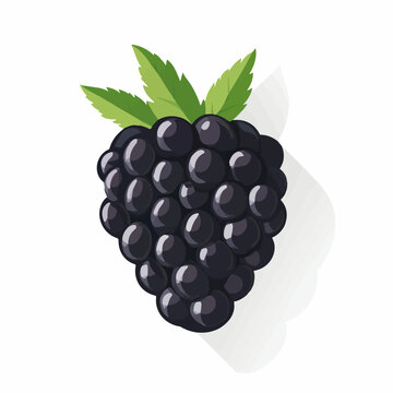 black blackberry fruit with green leaves clip art preview