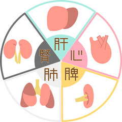 東洋医学・五行の臓器と色の図解イラスト