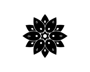 creative details flower with raindrops icon vector illustration 