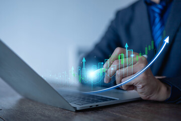 Business finance requires investment for growth of businessman needs experience in investing in...