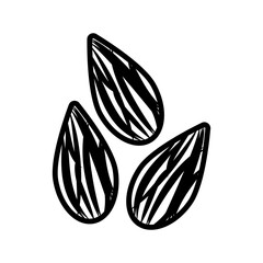 almond icon vector design symbol templates