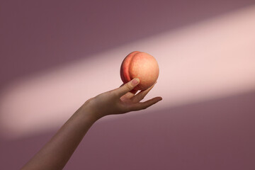 Elegant Hand Holding Peach in Soft Lighting