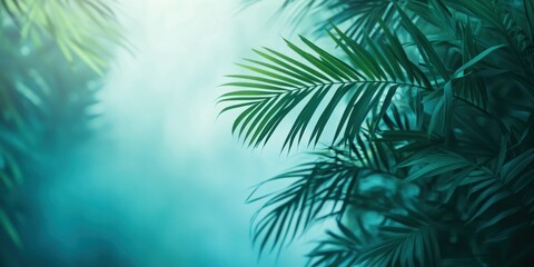 Tropical inspired gradient background with lush greenery for creative design