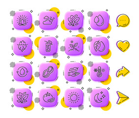 Windy weather, Lotus and Oil drop line icons. App 3d buttons. Social media comment, share, like icons. Pack of Thermometer, Lightweight, Cold-pressed oil icon. Vector