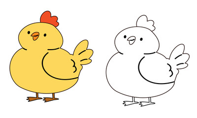 Flat vector illustration for children's coloring book. Cute chicken in black and white and color version. Farm pets . Vector illustration