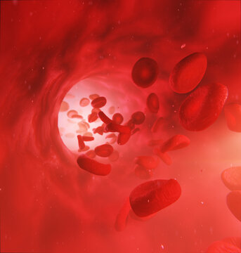 Blood cells and blood veins