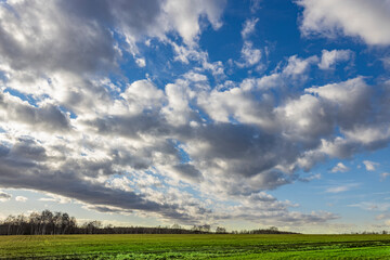 green field and cloudy sky