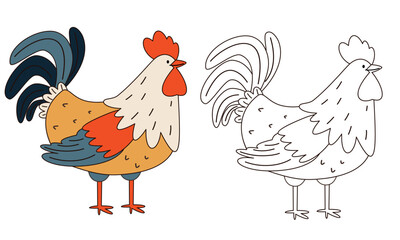 Flat vector illustration for children's coloring book. Cute rooster in black and white and color version. Farm pets . Vector illustration