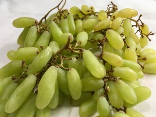 Close-up portrait of green grapes on a white background.