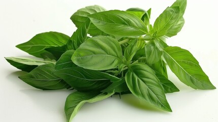 Basil Plant: A fragrant herb with vibrant green leaves, adding a fresh, peppery flavor to Mediterranean dishes like pesto and salads.
