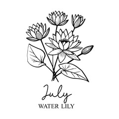 Flower Illustration Clipart  Design