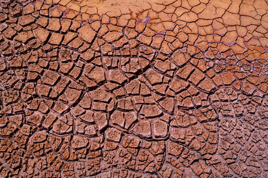 Cracked Earth Texture in Warm Tones