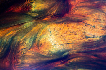 Flowing Patterns of River Algae