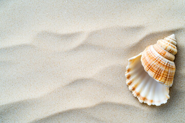 minimalist composition of single seashell resting on smooth sand, evoking sense of tranquility and simplicity. shell intricate patterns contrast beautifully with soft, wavy texture of sand