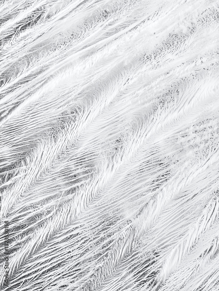 Poster Intricate frost pattern on glass showcasing delicate, feathery textures in close up view. image captures natural beauty and complexity of ice formations