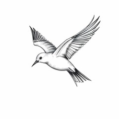 Obraz premium Soaring Dove in Flight: A simple line drawing of a dove in full flight. This minimalist sketch captures the bird's elegant form with dynamic lines, suggesting freedom, peace and hope.