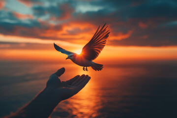 hand releasing bird at sunset over ocean