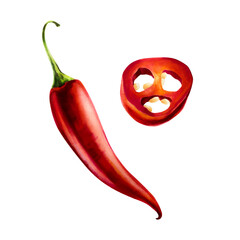Red chilli pepper. Watercolor hand drawn cayenne, bell pepper spice isolated on transparent background. Salsa illustration. For designers, menu, decoration, food blog, ecofriendly branding. Healthy
