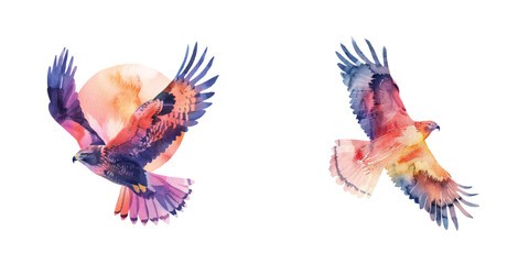 Fototapeta premium abstract color silhouette of flying hawk watercolor vector illustration