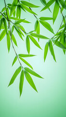 Naklejka premium Close-up of vibrant green bamboo leaves against a soft mint-green background