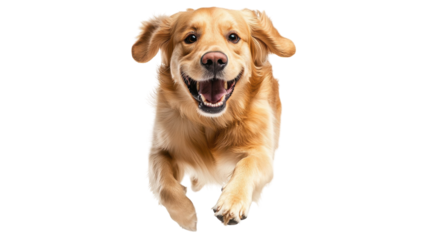 Joyful golden retriever running freely in a bright and cheerful atmosphere