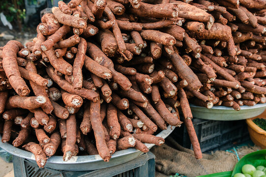 Swallow Root / Magali Kilangu in tamil 
