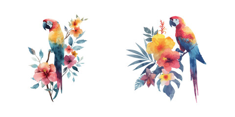 abstract color silhouette of parrot and tropical flowers watercolor vector illustration © Dar