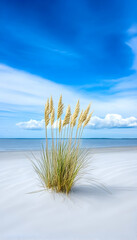 Coastal Beach Grass Under a Vivid Sky
