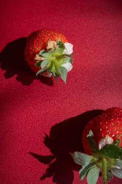 Close-Up of Strawberries on Red Background